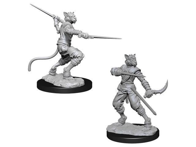 D&D Nolzurs Marvelous Unpainted Miniatures: Wave 7: Male Tabaxi Rogue