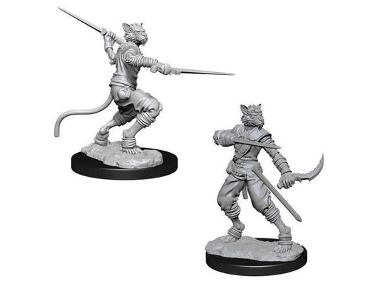 D&D Nolzurs Marvelous Unpainted Miniatures: Wave 7: Male Tabaxi Rogue