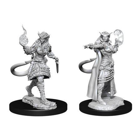 Wizkids WZK90304 Dungeons & Dragons Nolzus Marvelous Unpainted