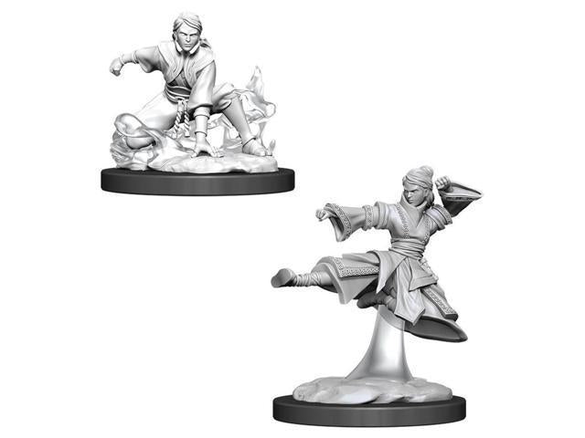 WizKids D&D Nolzurs Marvelous Upainted Miniatures: Wave 11: Female Human Monk