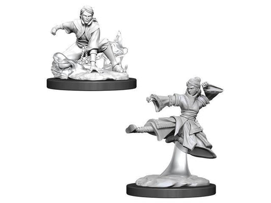 WizKids D&D Nolzurs Marvelous Upainted Miniatures: Wave 11: Female Human Monk