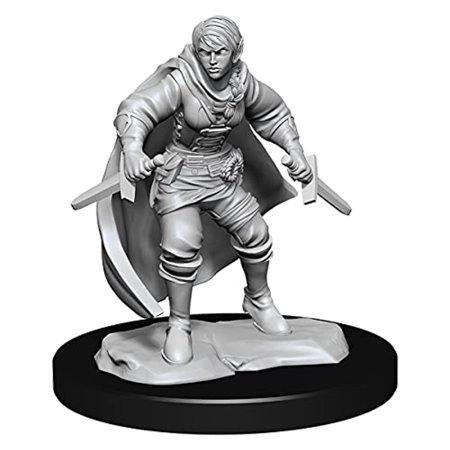 WizKids D&D Nolzur's Marvelous Unpainted Miniatures: W14 Half-Elf Rogue Female