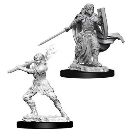 Nolzurs Marvelous Miniatures Wizkids - D&D Human Female Paladin
